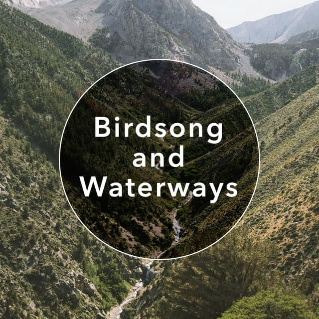 Nature Sounds for Concentration