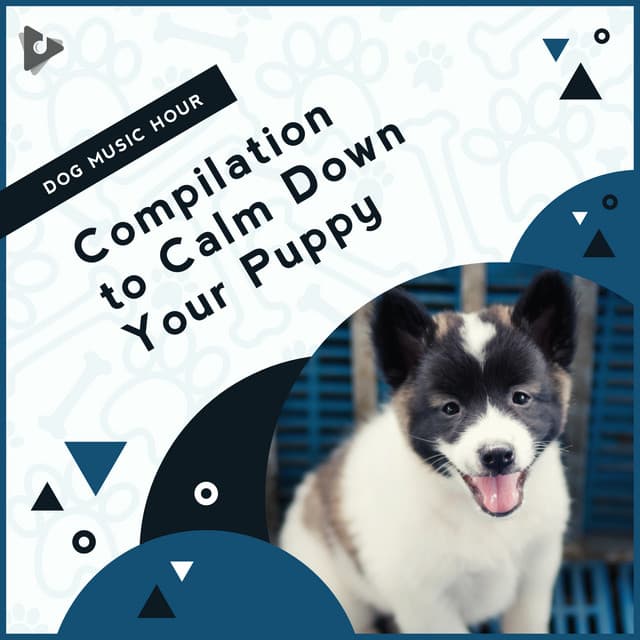 Compilation to Calm Down Your Puppy - Dog Music Hour