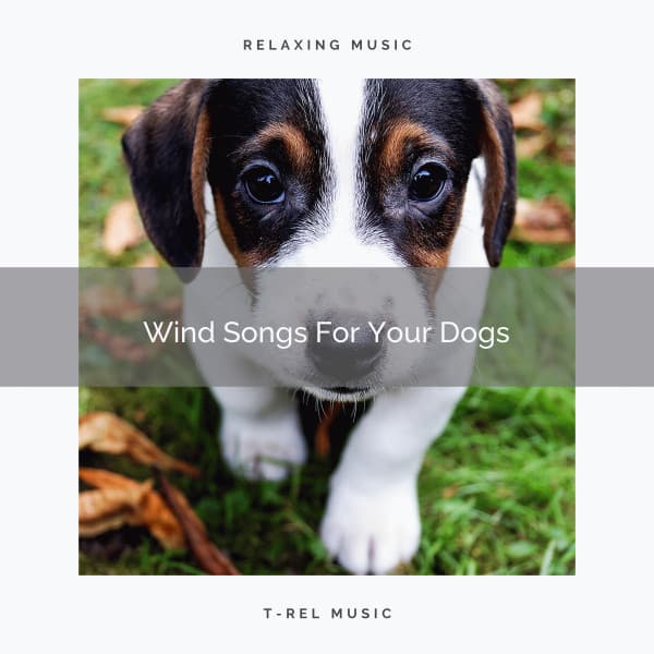 Wind Songs For Your Dogs - Pets Total Relax