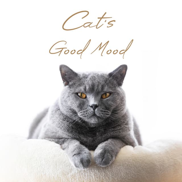 Cat's Good Mood - Jim Sieber
