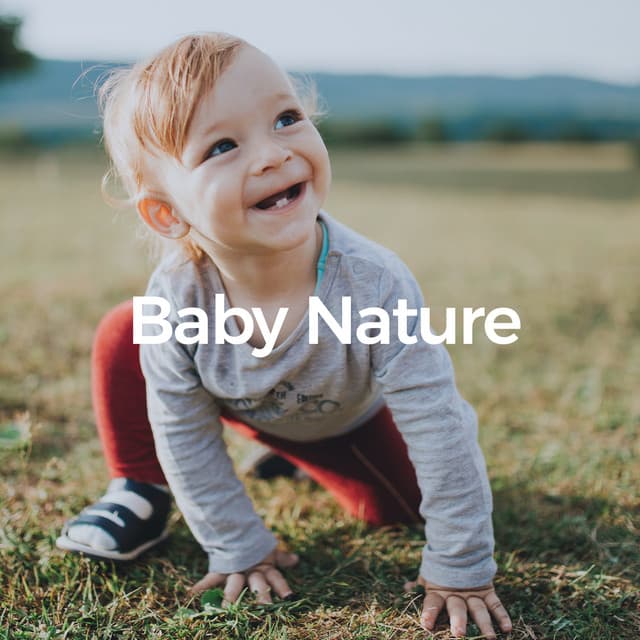 1 Hour Baby Nature Sounds - chillchild