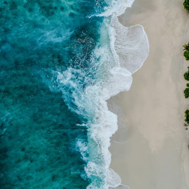 10 AM Wellness: Flow - Coastal Sounds