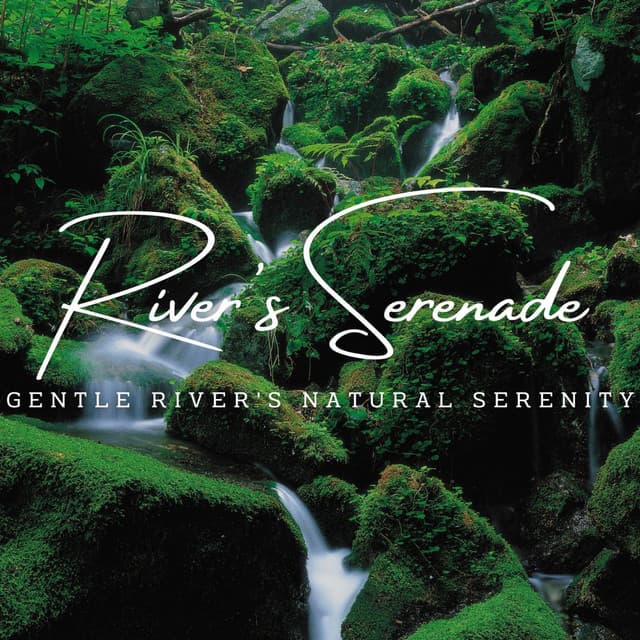 River's Serenade: Tranquil Stream Sounds - Tranquil Cove