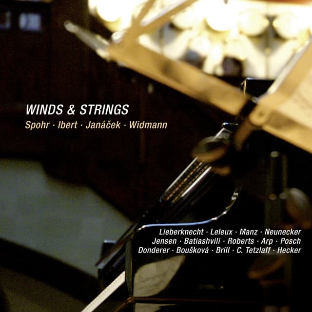 Winds & Strings: Spohr, Ibert, Janacek & Widmann - Andrea Lieberknecht