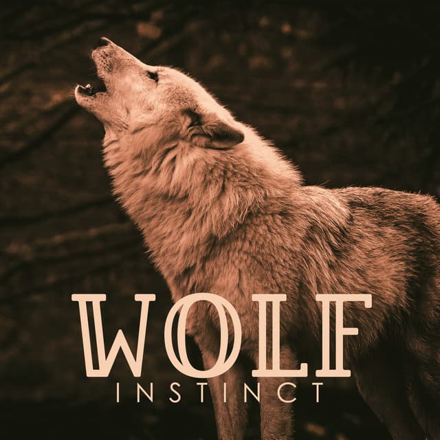 Wolf Instinct: Native American Flute for Spirituality, Healing, Trance - Native Meditation Zone