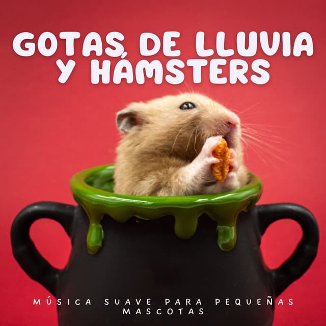 Lloviendo para mascotas tranquilas