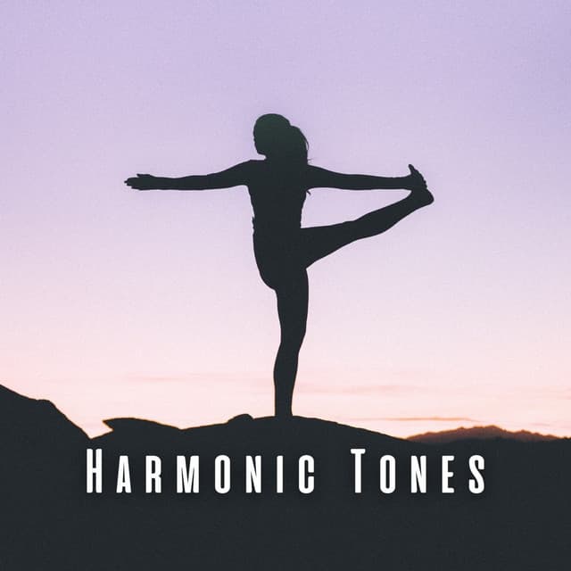 Harmonic Tones: Zen Yoga Journeys with Chill Music - Reiki harmonia