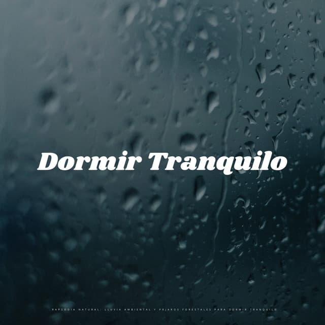 Rapsodia Natural: Lluvia Ambiental Y Pájaros Forestales Para Dormir Tranquilo - Lluvia Relajante para Dormir