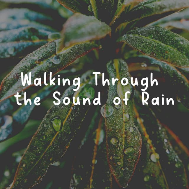 Walking Through the Sound of Rain - Natsound