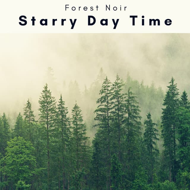 1 o 1 Starry Day Time - Forest Noir