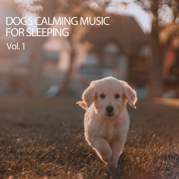 Dogs Calming Music For Sleeping Vol. 1 - Dog Music