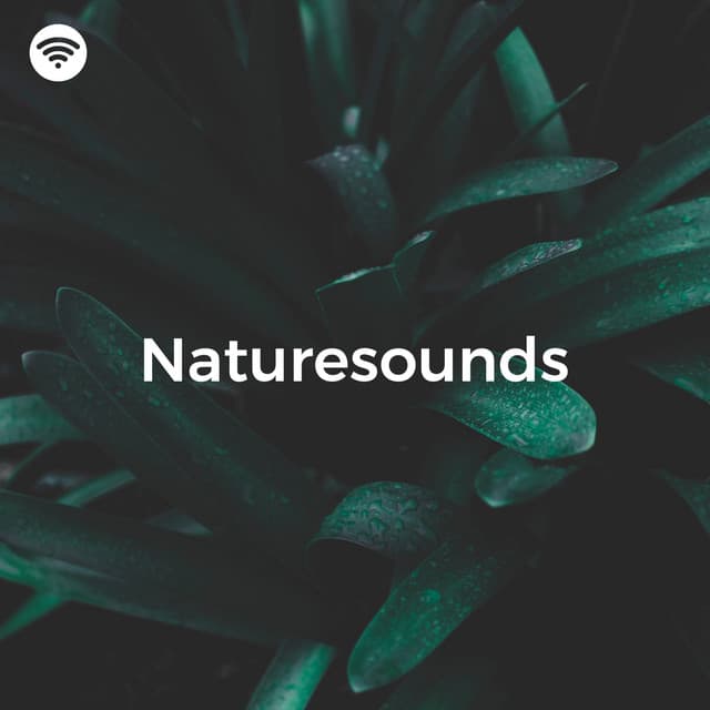 Naturesounds: into the Heart of the Woodlands - Nature Sounds for Sleep and Relaxation