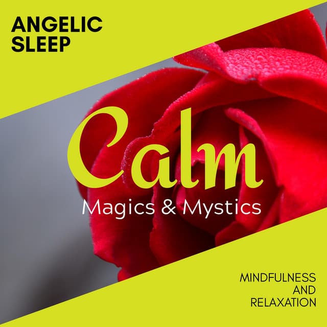 Angelic Sleep - Mindfulness and Relaxation - Relaxing Minds