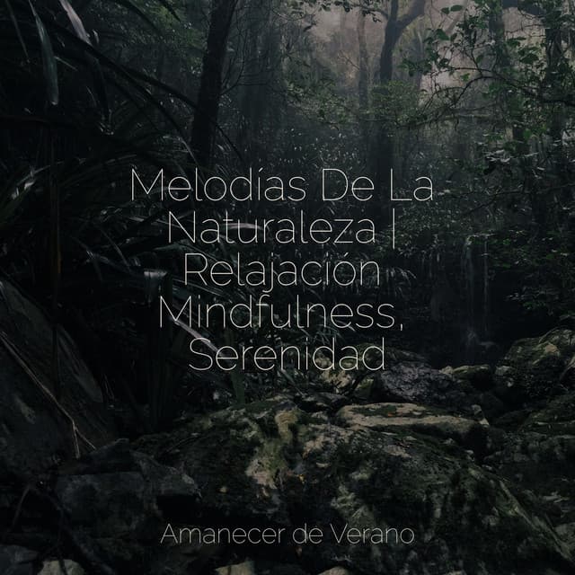 Melodías De La Naturaleza | Relajación Mindfulness, Serenidad - Yoga Sounds