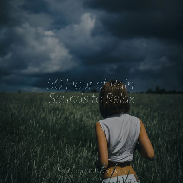 50 Hour of Rain Sounds to Relax - Rain For Deep Sleep