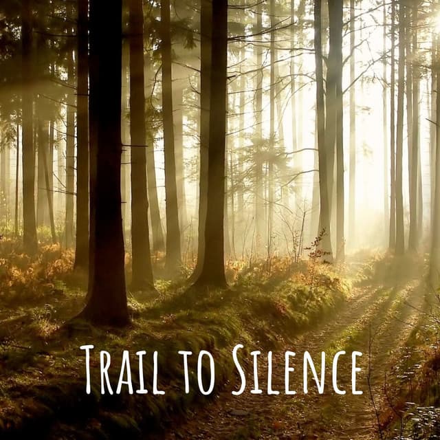 Trail to Silence - Tailormade Ocean Waves