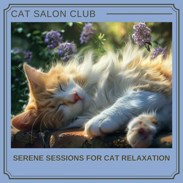 Serene Sessions for Cat Relaxation - Cat Salon Club