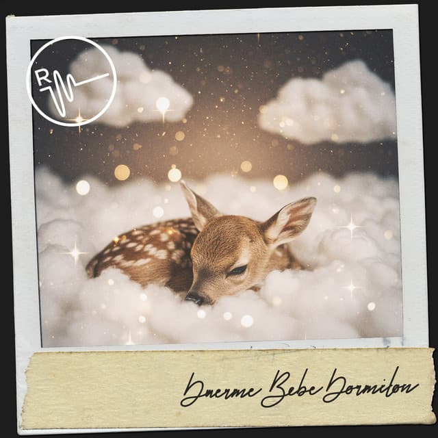 Duerme Bebé Dormilon: Nocturno Suite para bebé - Dog Relaxation