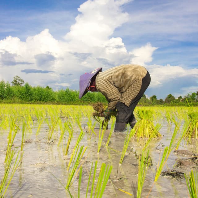 Water's Work Serenade in Ambient Tones - Water Way