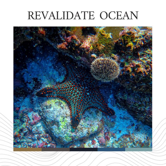 Revalidate Ocean - Sonidos De Agua