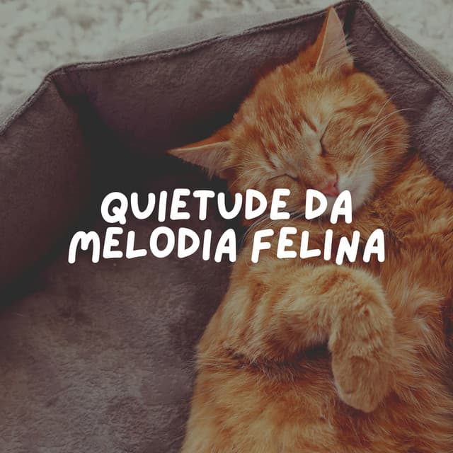 Quietude da Melodia Felina - Musica para Gatos