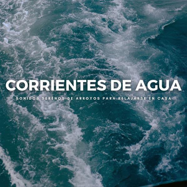 Corrientes De Agua: Sonidos Serenos De Arroyos Para Relajarse En Casa - Meditaciones Espirituales