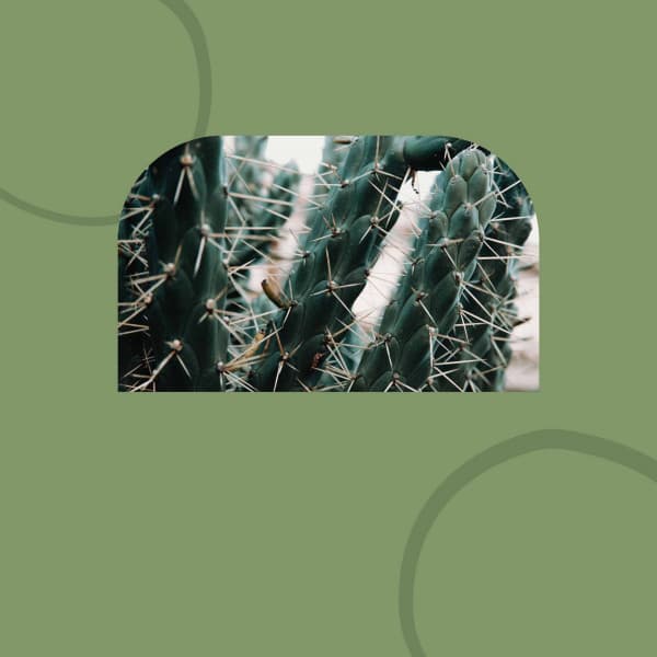 Ballad Jazz - Bgm for Enjoying Nature - Late Night Jazz Bar