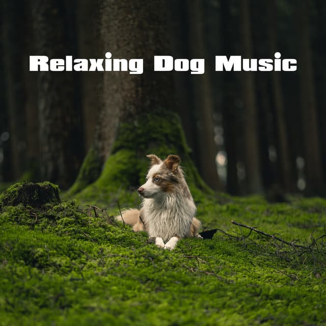 Relaxing Dog Music - Soothing Dog Sounds