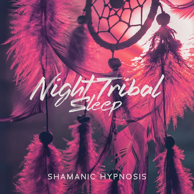 Night Tribal Sleep: Shamanic Hypnosis, Dreams under the Stars - Native American Music World