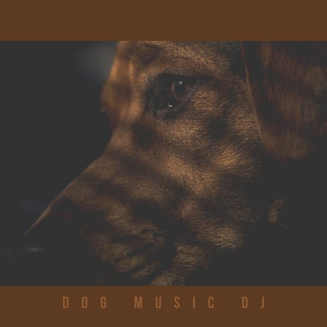 Music For Lonely Dogs - Dog Music DJ