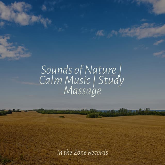 Sounds of Nature | Calm Music | Study Massage - Música Relajante para Bebés
