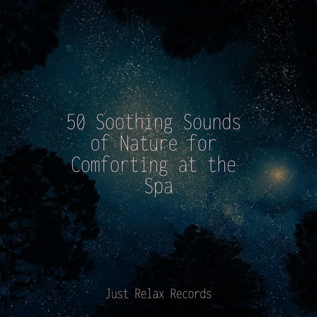 50 Soothing Sounds of Nature for Comforting at the Spa - Relaxed Minds