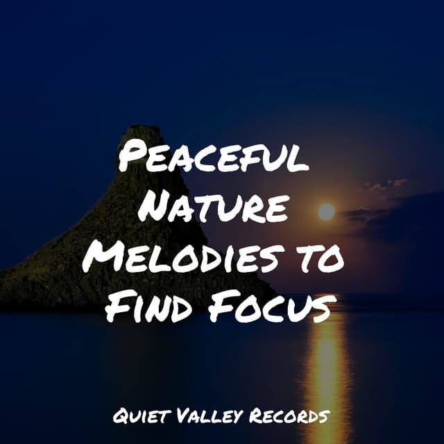Peaceful Nature Melodies to Find Focus - Nature Sounds Collection