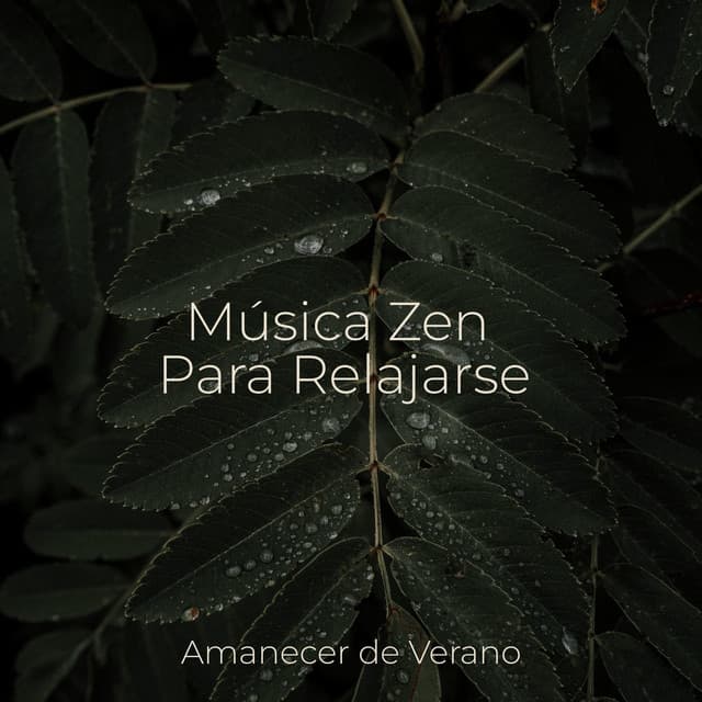 Música Zen Para Relajarse - Musica para Meditar