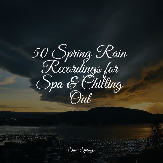 50 Spring Rain Recordings for Spa & Chilling Out - Musica Reiki