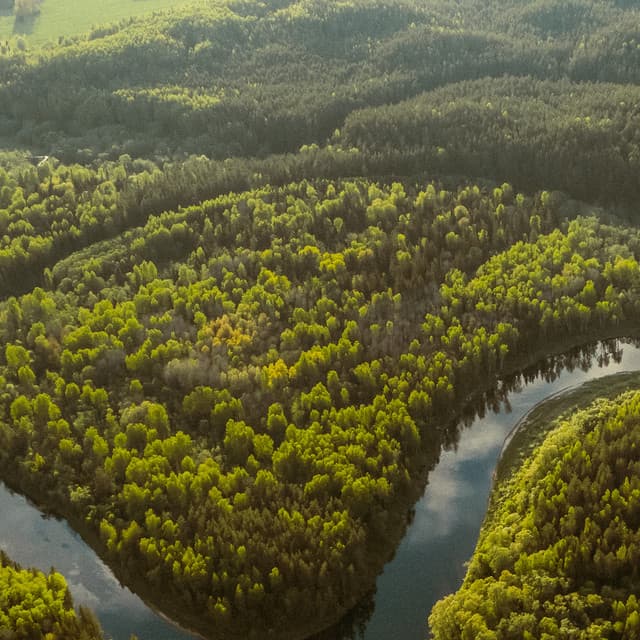 4 Seasons:Ambient Nature Sounds - Baltic Nature Sounds