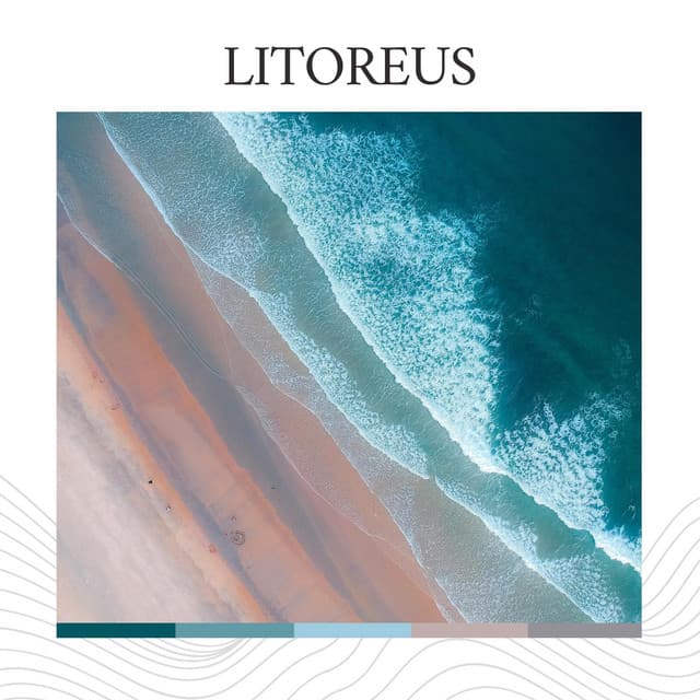 Litoreus - Brain Timbre
