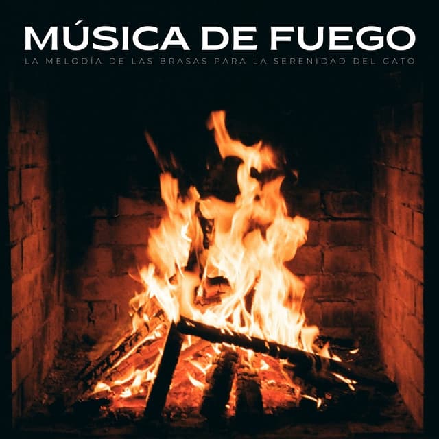 Música De Fuego: La Melodía De Las Brasas Para La Serenidad Del Gato - Estudio de efectos de chimenea