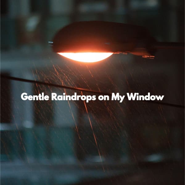 Gentle Raindrops on My Window - Study Playlist