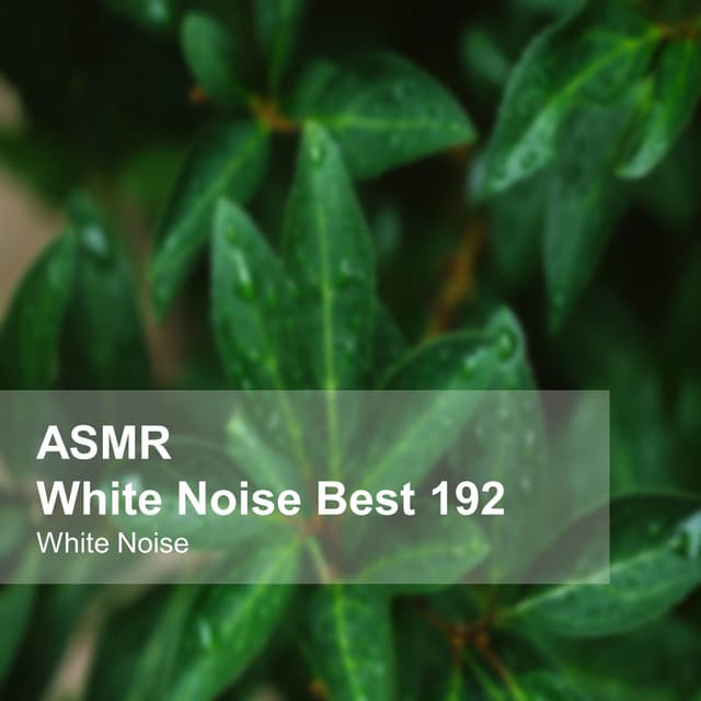 White Noise ASMR Best 192 - White Noise