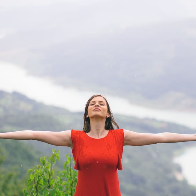 Rainy Cascade Serenity: Melodic Sounds of Gentle Showers - Rain Sounds Factory STHLM