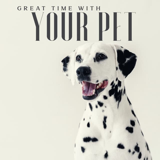 Great Time with Your Pet: Pleasant Jazz Background for Listening at Home - Chillout Master