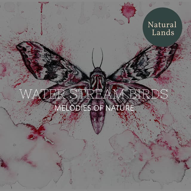 Water Stream Birds - Melodies of Nature - Sleepy Times