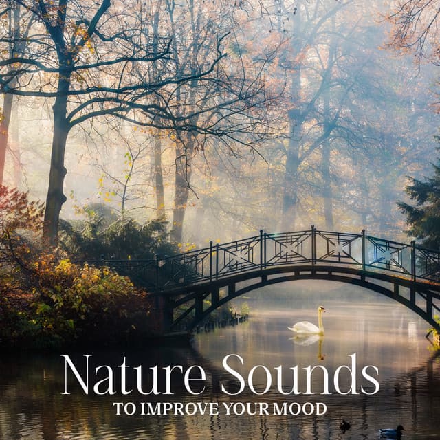 Nature Sounds to Improve Your Mood - Wonderful World Crew