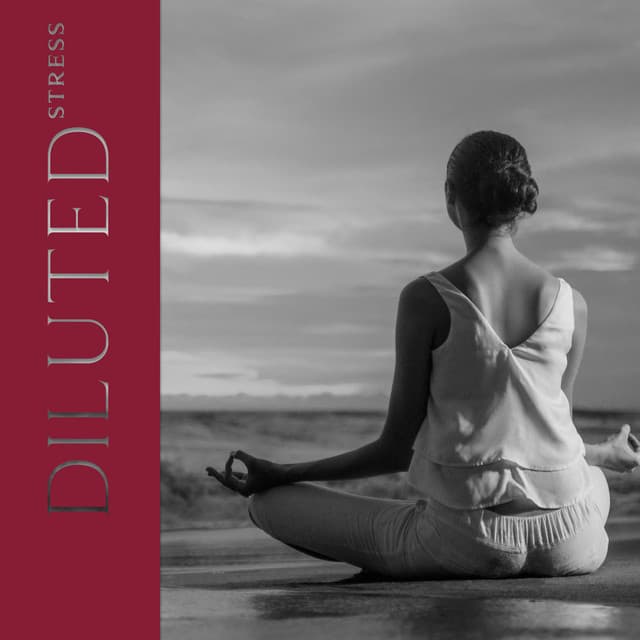 Diluted Stress - Beth Souls