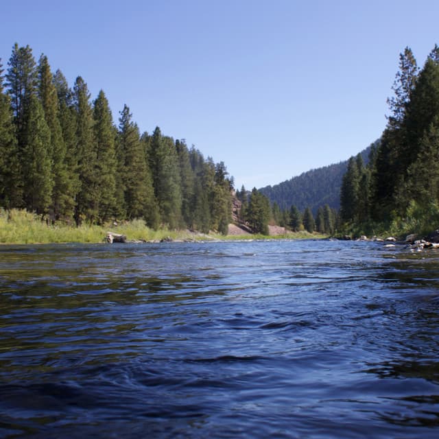 Calm Waters: Stream's Meditative Contemplations - Water sound bank