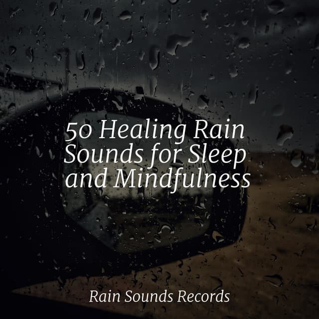 50 Healing Rain Sounds for Sleep and Mindfulness - Natureza