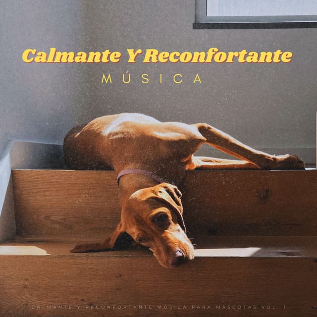 Calmante Y Reconfortante Música Para Mascotas Vol. 1 - Effectum