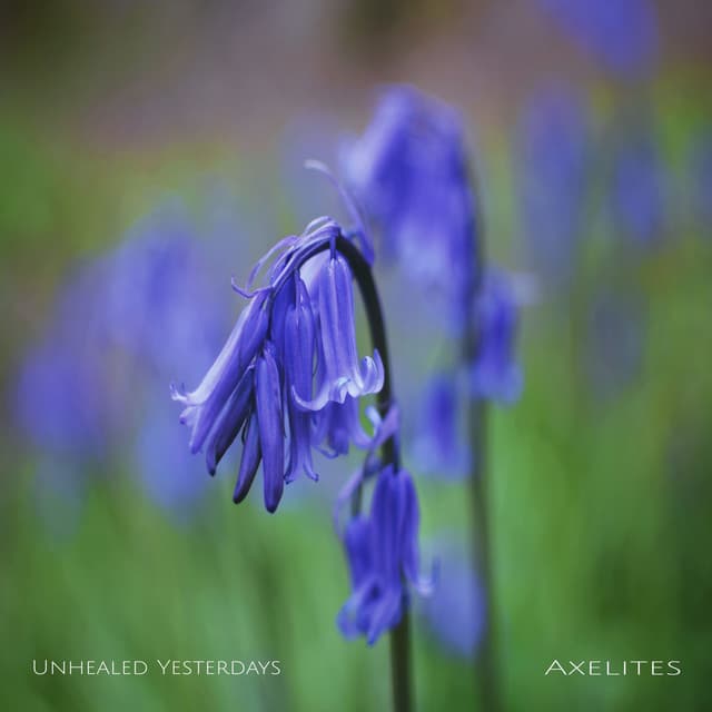 Unhealed Yesterdays - Axelites