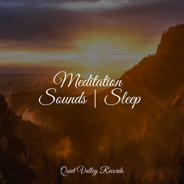 Meditation Sounds | Sleep - Study Music